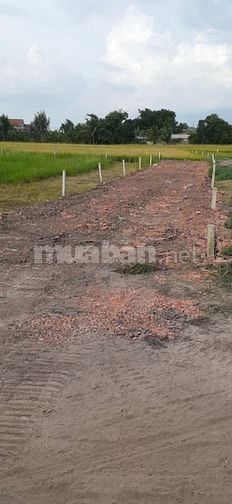  1 Xẹt Nhựa 839 Chỉ 250tr Sang Tên Ngay 5x36 Full Thổ Cư tại Đức Huệ, 