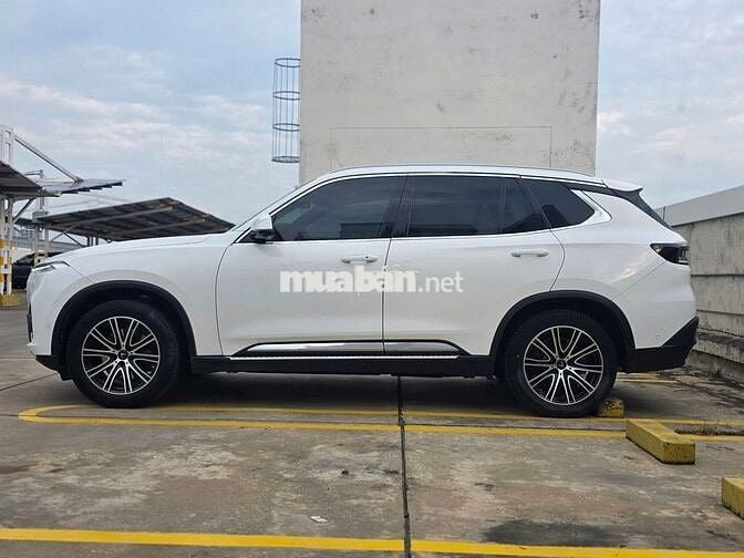 VinFast Lux SA Plus 2020 - 20000 km