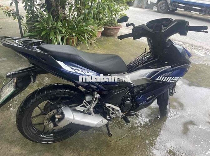nhà có winer x 2020 đi lm đều giá mong muốn 17