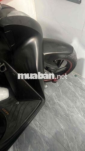 xe sh việt chính chủ