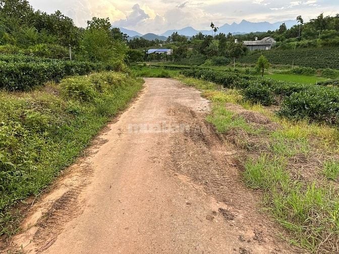 Thái Nguyên, diện tích 358,5m2 có 100m2 thổ cư. Nằm trong dự án quy ho