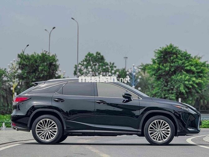 Lexus RX300 2021