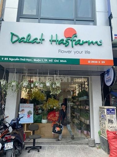 Bán nhà MT Nguyễn Thái Học, Q.1. 4x16m. Trệt 3L. Giá 52 tỷ