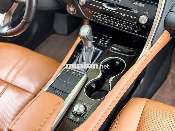 Lexus RX300 2021