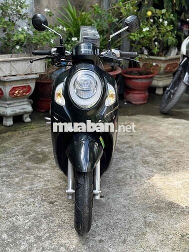 SCOOPY 10/2024 odo 5 ngàn cây 9 chủ ký liền