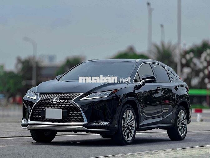 Lexus RX300 2021