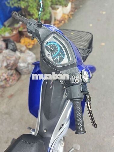 Sirius dọn full kiểng đẹp bs61
