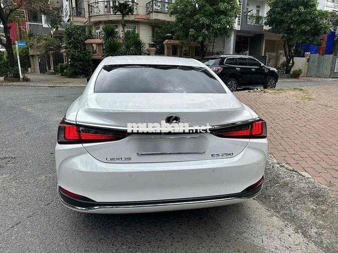 Lexus ES 2019 dk 2020
