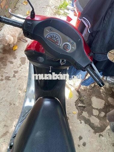 01 cặp atila