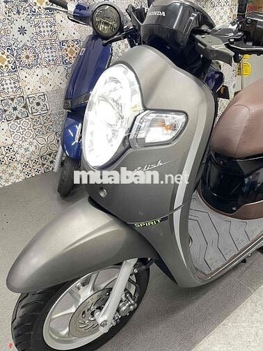 Scoopy  099-88