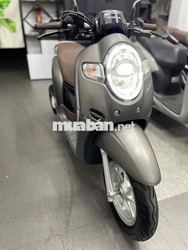 Scoopy  099-88