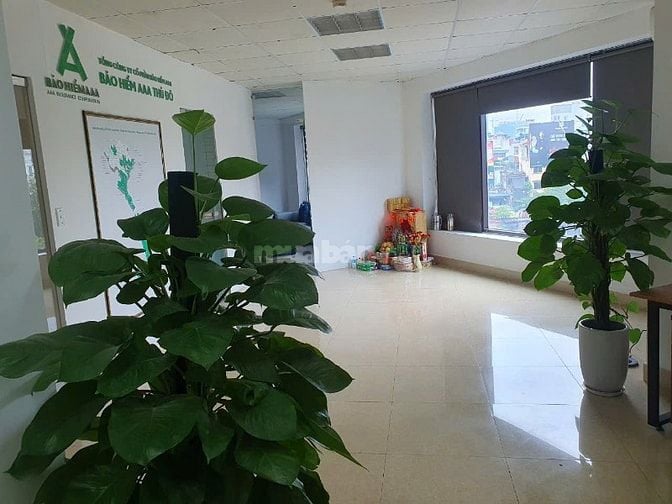 Phú Minh Group cho thuê VP tòa lô góc Nguyễn Khang 100m2 giá chỉ 18tr