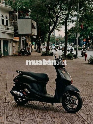 Bán yamaha grander kiểng