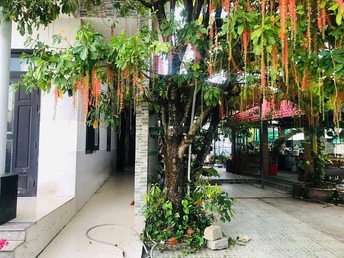 Bán Nhà 18x31(492m2) 200m2 TC 2 Mặt Tiền Giá Rẻ Gần Biển