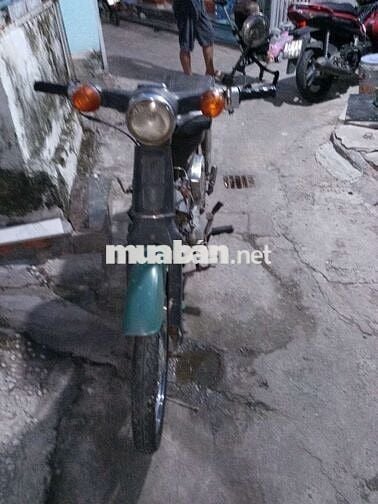 cúp79 xám xi măng
