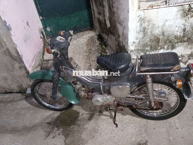 cúp79 xám xi măng