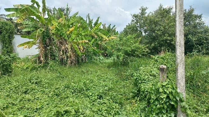 Vị trí cực đẹp, thỏa mãn mọi nhu cầu _ không gian sống lí tưởng tại TP