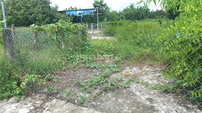 Vị trí cực đẹp, thỏa mãn mọi nhu cầu _ không gian sống lí tưởng tại TP