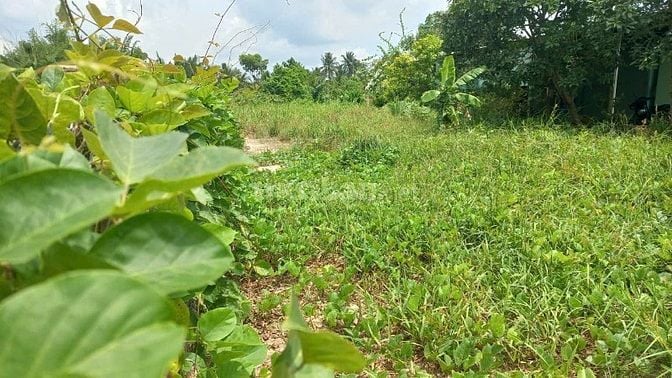Vị trí cực đẹp, thỏa mãn mọi nhu cầu _ không gian sống lí tưởng tại TP