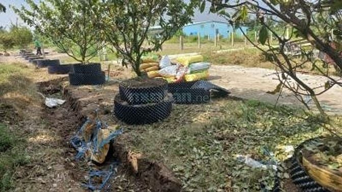 Vị trí cực đẹp, thỏa mãn mọi nhu cầu _ không gian sống lí tưởng tại TP