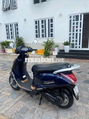 Xe alizabet fi giấy tờ đầy đủ