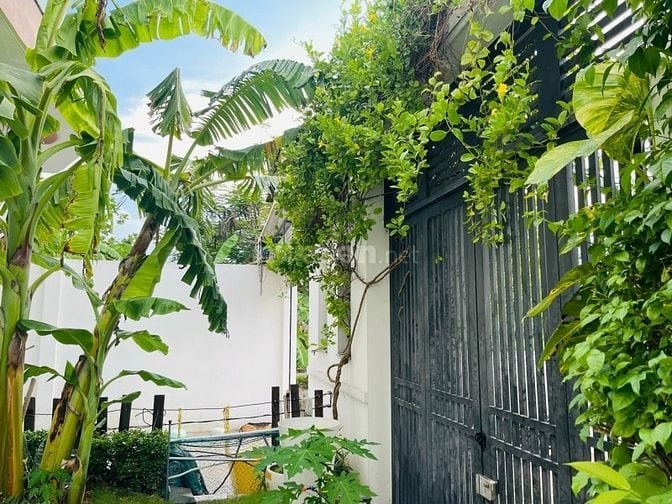 Biệt thự sân vườn đường 20m KDC Phú Xuân Nhà Bè 230m2 giá tốt 19 tỷ 5