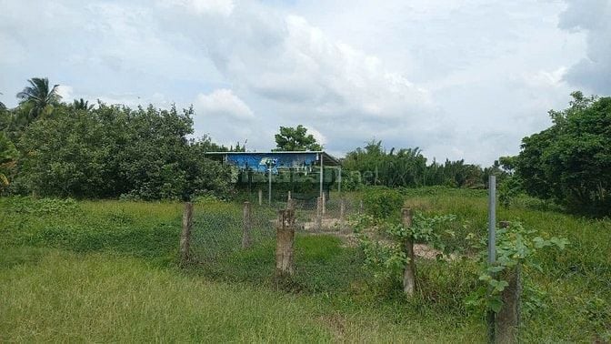 Vị trí cực đẹp, thỏa mãn mọi nhu cầu _ không gian sống lí tưởng tại TP
