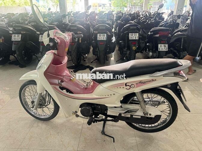 elegan