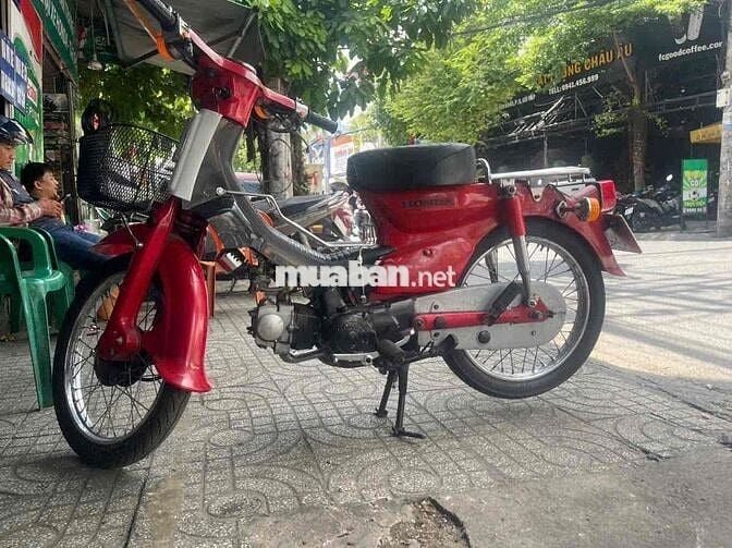 HonDa-cub