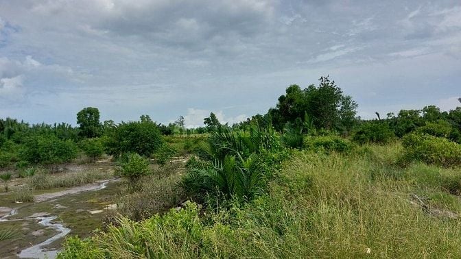 Đất nông nghiệp vùng ven hồ chí minh