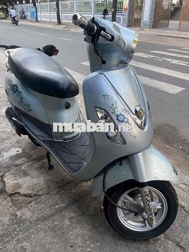 Alizabetr rin đẹp đời cao