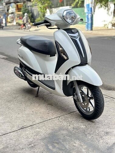 Nozza grande đời 2016 màu trắng còn đẹp và mới 95%