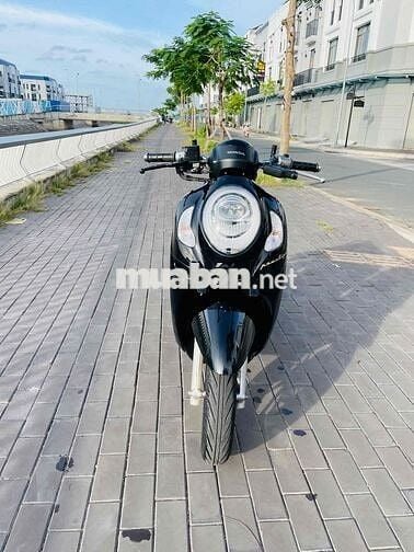 Bán xe SCOOPY Indo 2022
