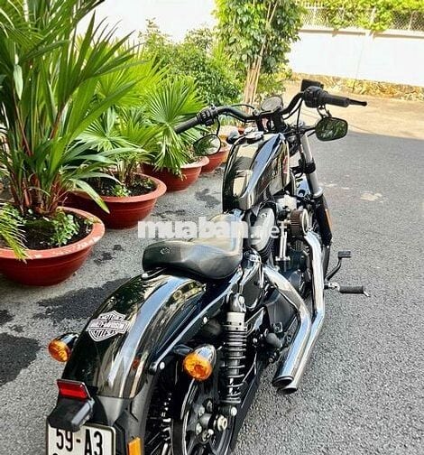 Harley 48 8/2019 BSSG Rất Mới