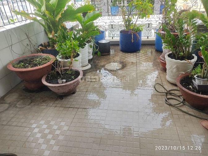 Gia đình đi định cư cần bán -83/131 Năm Châu, Phường 11, Quận Tân Bình
