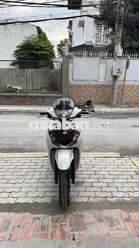Shvn 125 mẫu ý