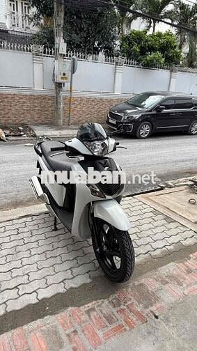 Shvn 125 mẫu ý