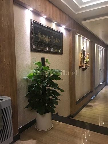 nhà mặt tiền thống nhất phường 11 gò vấp