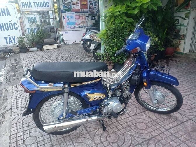 DRAEM LONCIN đơn mới xanh cendi