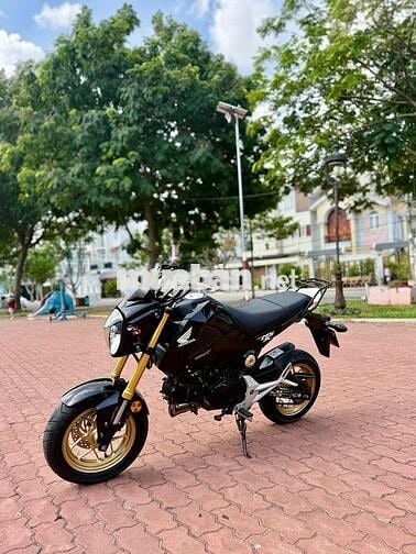 Moto Mini Honda Msx 125cc - Bstp