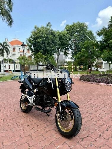 Moto Mini Honda Msx 125cc - Bstp