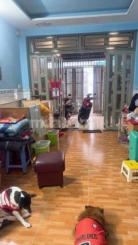 Bán nhà 60m 2tầng 3pn 4x15 giá 4.8 tỷ p13 gò vấp 