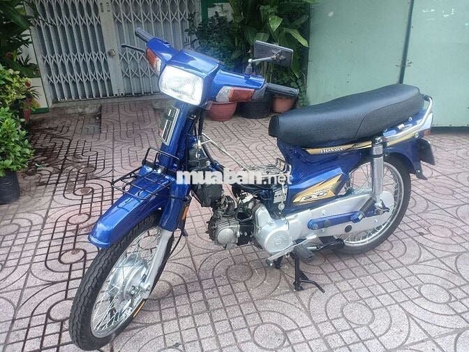 DRAEM LONCIN đơn mới xanh cendi