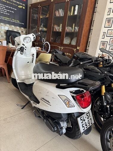 Sym atila alizabet.zin còn đẹp.Giao lưu tấtcả xecộ