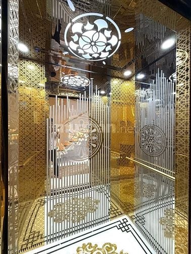 Siêu phẩm 5 Lầu THANG MÁY CAO CẤP Gara để 2 xe hơi hẻm 10m Lê Đức Thọ