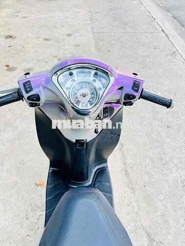 sh màu xám ánh tím 9 chủ