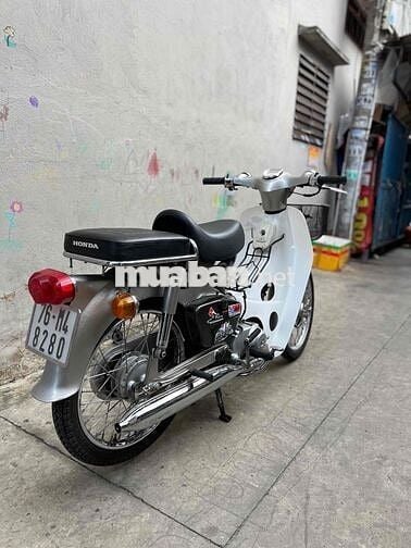 Cub 70cc