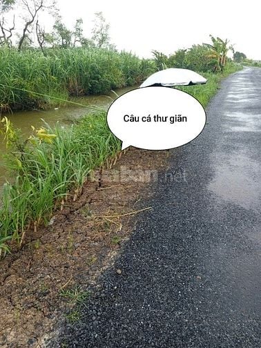 BÁN LÔ ĐẤT 100M THỔ CƯ, 142M TRỒNG CÂY LÂU NĂM