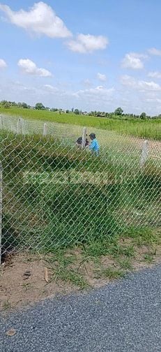 BÁN LÔ ĐẤT 100M THỔ CƯ, 142M TRỒNG CÂY LÂU NĂM