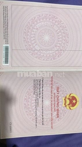 Nhà hàng KDL Cồn Lân trong quần thể KDL  tứ linh Long Lân Quy Phụng